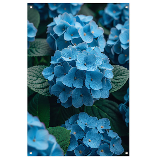 Blauwe bloemen in de tuin tuinposter