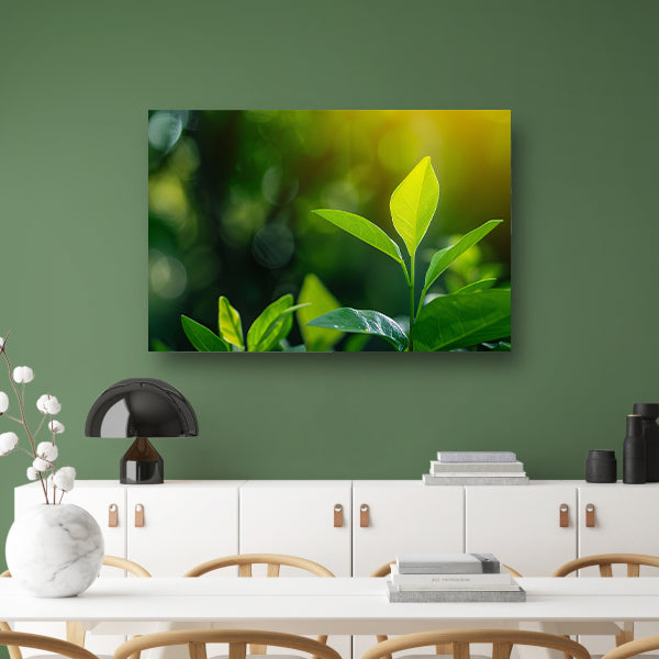 Helder Groen Blad in Zonlicht acrylglas