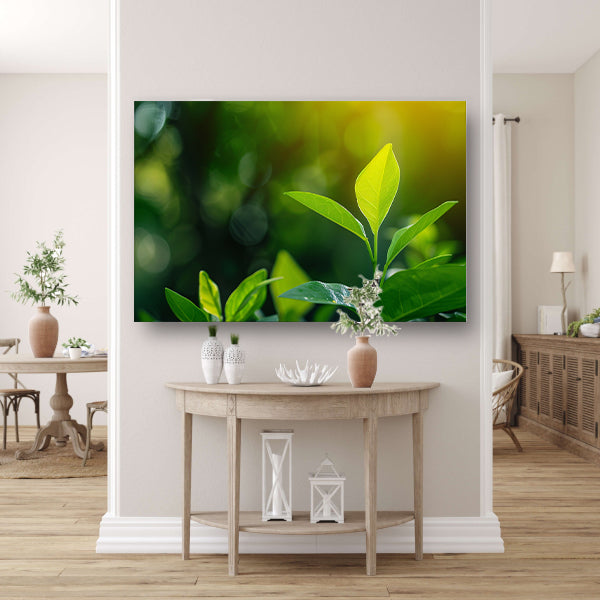 Helder Groen Blad in Zonlicht acrylglas
