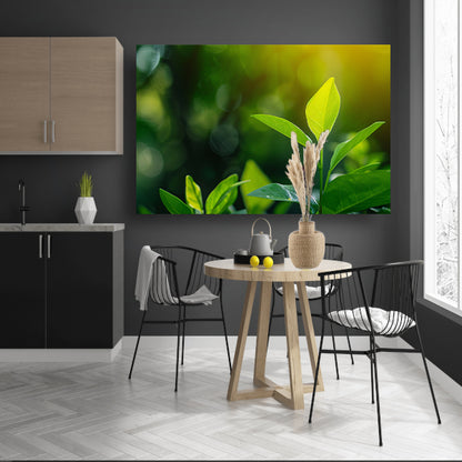 Helder Groen Blad in Zonlicht acrylglas