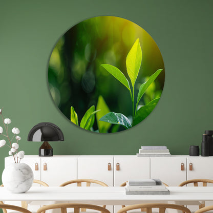 Helder Groen Blad in Zonlicht forex muurcirkel
