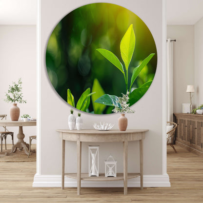 Helder Groen Blad in Zonlicht aluminium muurcirkel