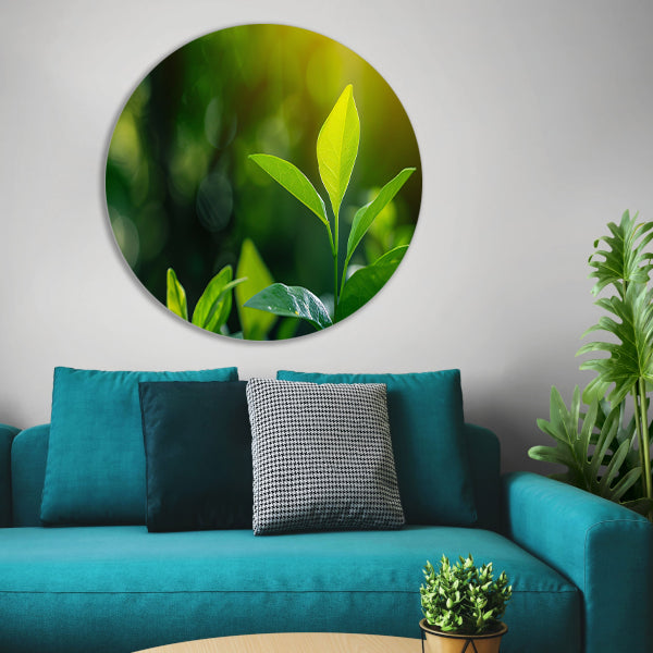 Helder Groen Blad in Zonlicht aluminium muurcirkel