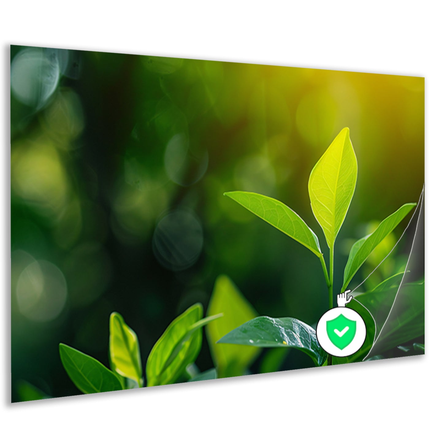 Helder Groen Blad in Zonlichtposter