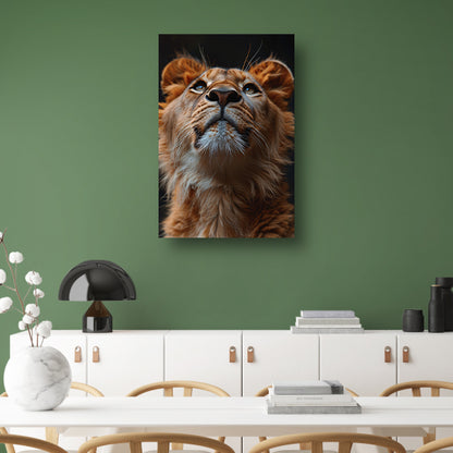Majestueuze leeuw met intense blik omhoog canvas met baklijst