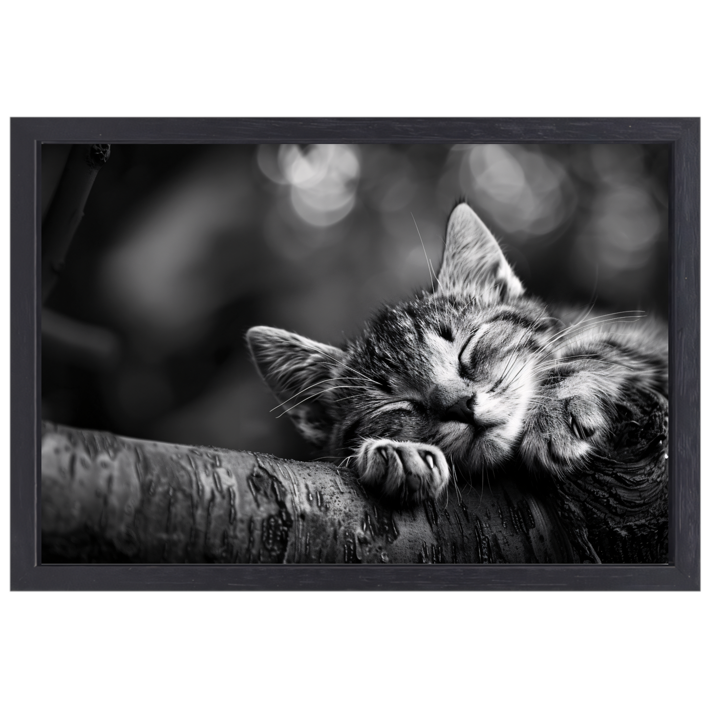 Slapende kitten op boomtak canvas met baklijst