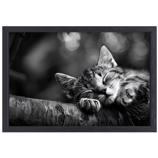 Slapende kitten op boomtak canvas met baklijst