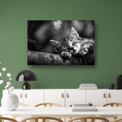 Slapende kitten op boomtak canvas