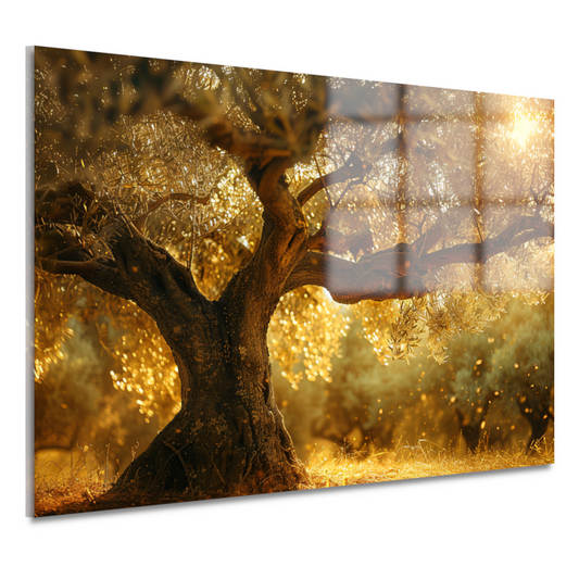 Nachtelijke bomen bij sterrennacht acrylglas