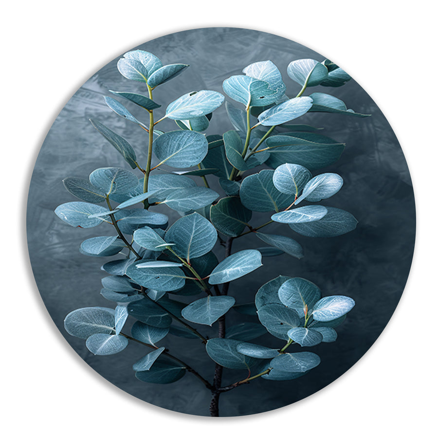 Eucalyptusbladeren met zachte grijze achtergrond aluminium muurcirkel
