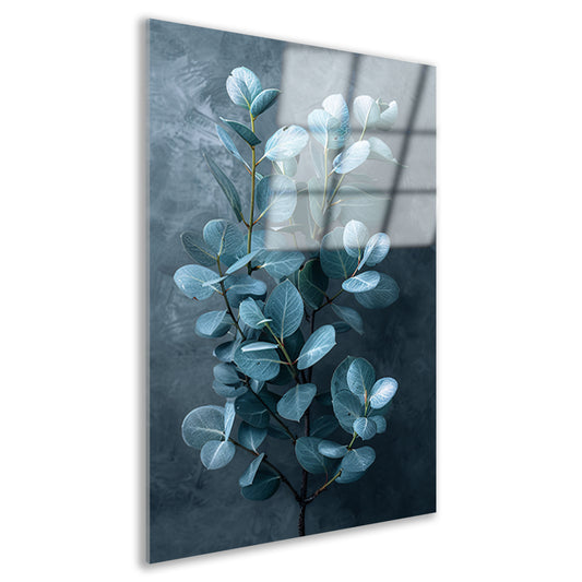 Eucalyptusbladeren met zachte grijze achtergrond acrylglas