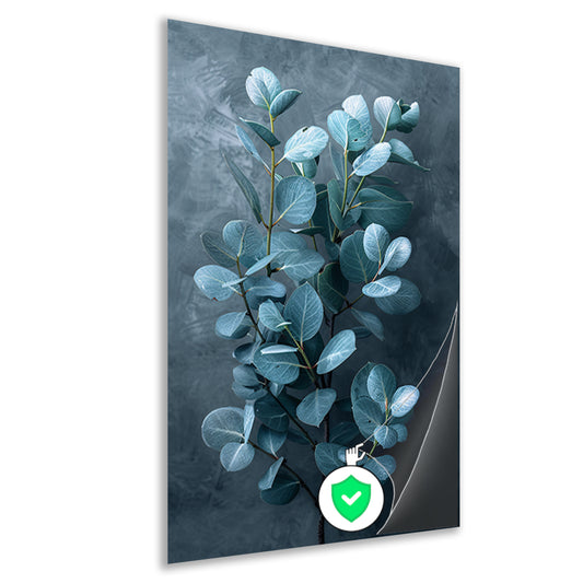 Eucalyptusbladeren met zachte grijze achtergrond poster