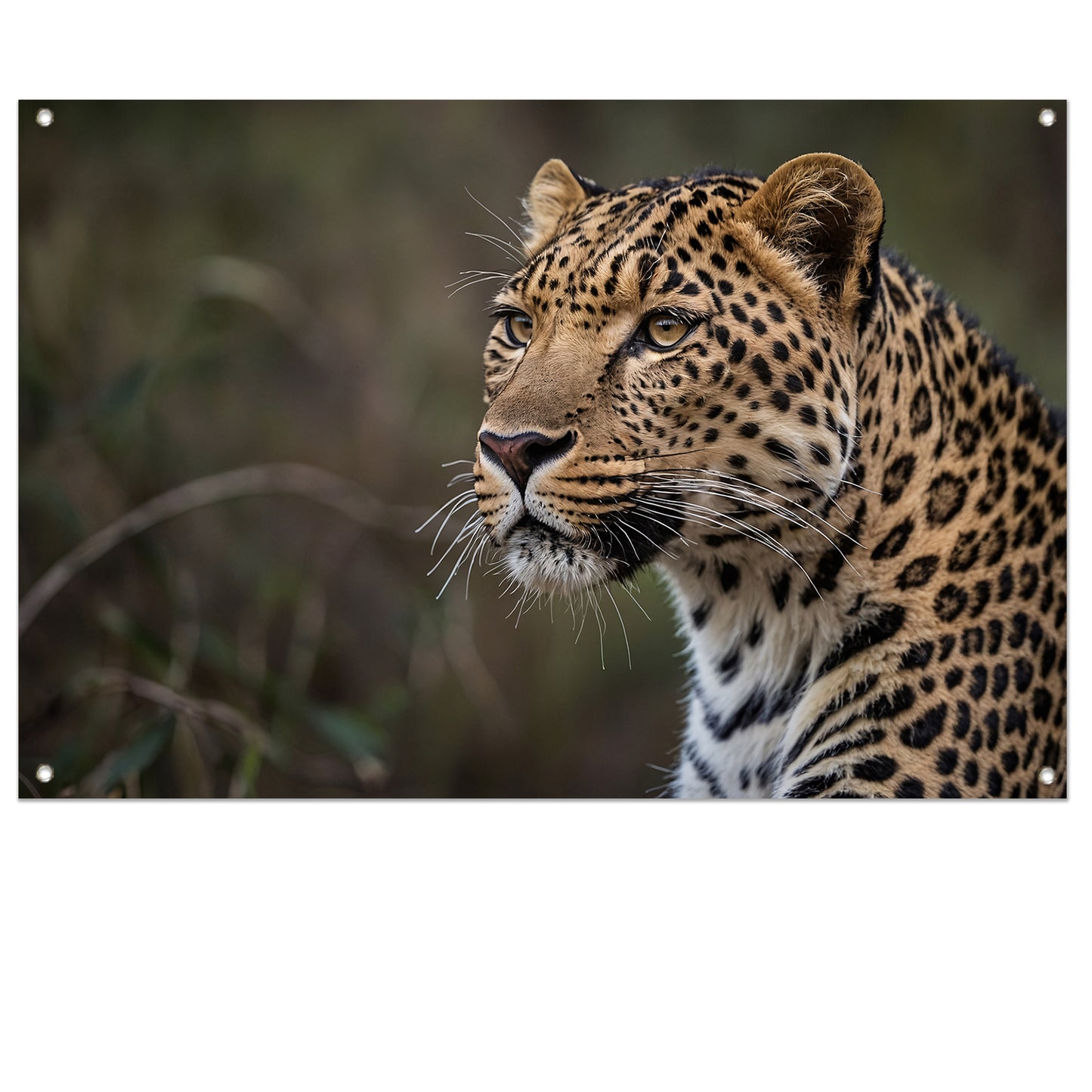 Prachtige close-up van een wilde luipaard tuinposter