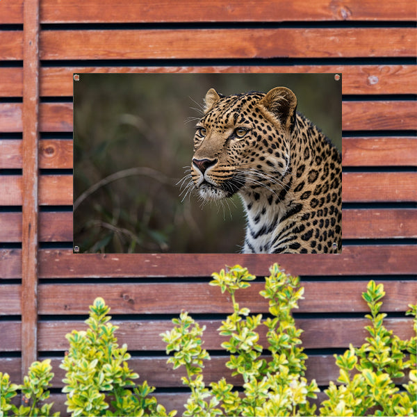 Prachtige close-up van een wilde luipaard tuinposter