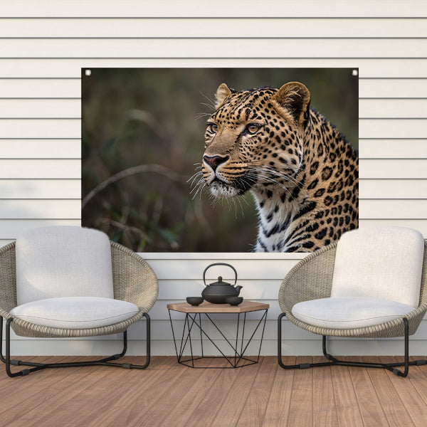 Prachtige close-up van een wilde luipaard tuinposter