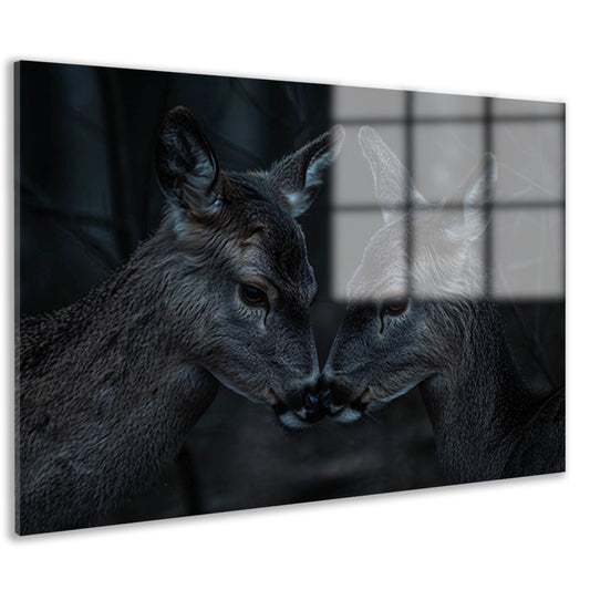 Twee herten in een donker bos acrylglas