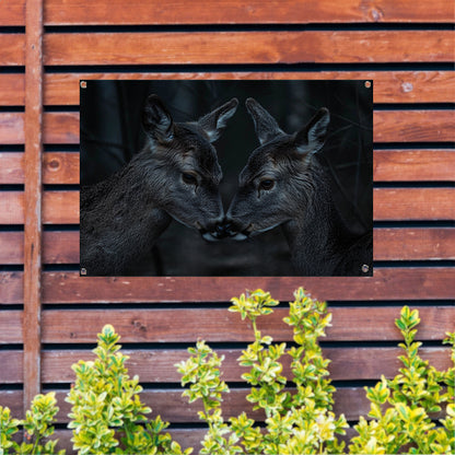 Twee herten in een donker bos tuinposter