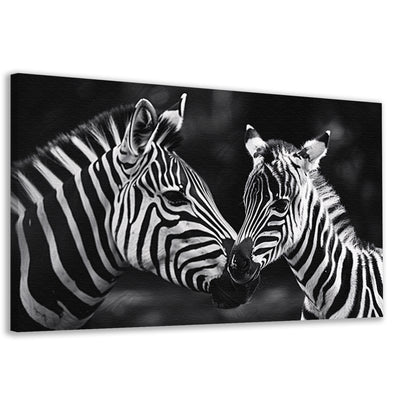 Intieme ontmoeting zebra moeder en jong canvas