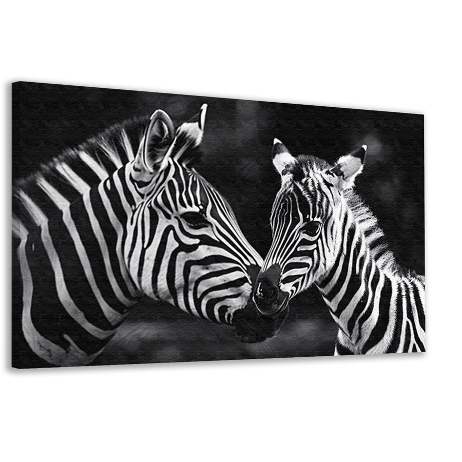 Intieme ontmoeting zebra moeder en jong canvas