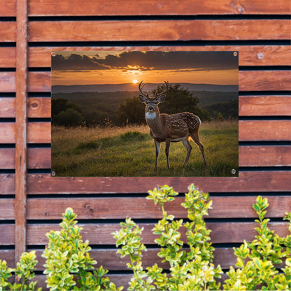 Hert in grasveld bij zonsondergang tuinposter