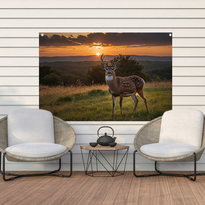 Hert in grasveld bij zonsondergang tuinposter