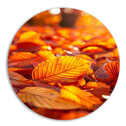 Herfstbladeren in Warm Zonlicht aluminium muurcirkel