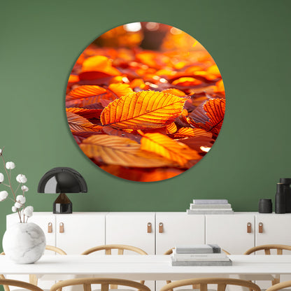 Herfstbladeren in Warm Zonlicht aluminium muurcirkel