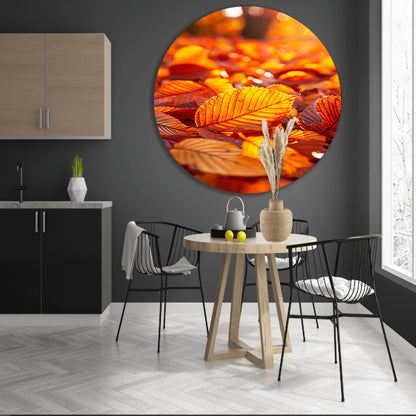 Herfstbladeren in Warm Zonlicht aluminium muurcirkel