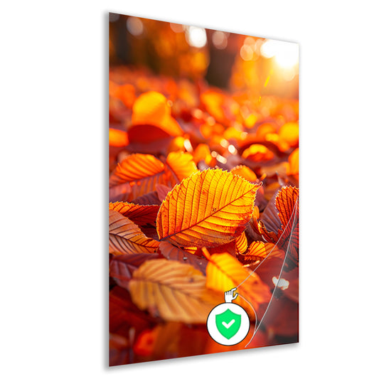 Herfstbladeren in Warm Zonlicht poster