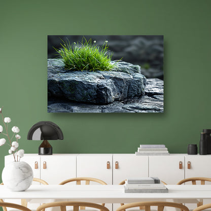 Minimalistisch Gras op Steen canvas