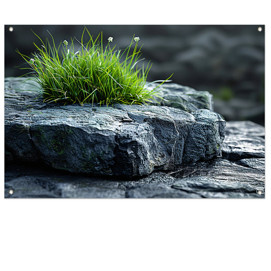 Minimalistisch Gras op Steen tuinposter