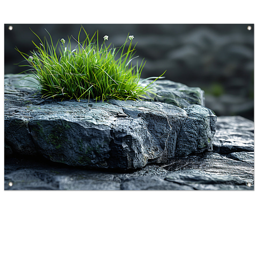 Minimalistisch Gras op Steen tuinposter