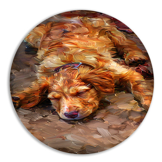 Schilderij van een slapende puppy met bril forex muurcirkel