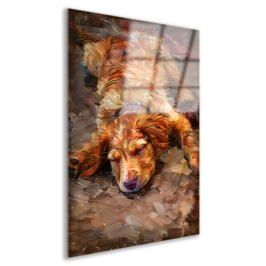 Schilderij van een slapende puppy met bril acrylglas