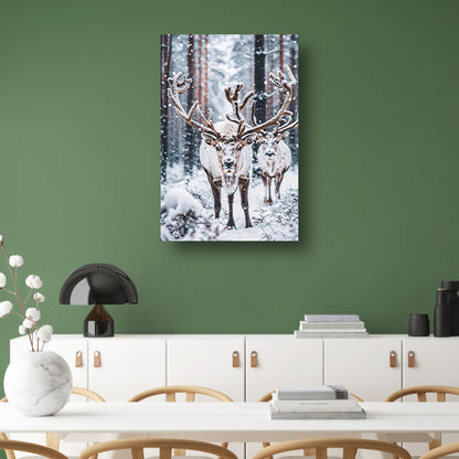 Twee Rendieren in Besneeuwd Bos acrylglas