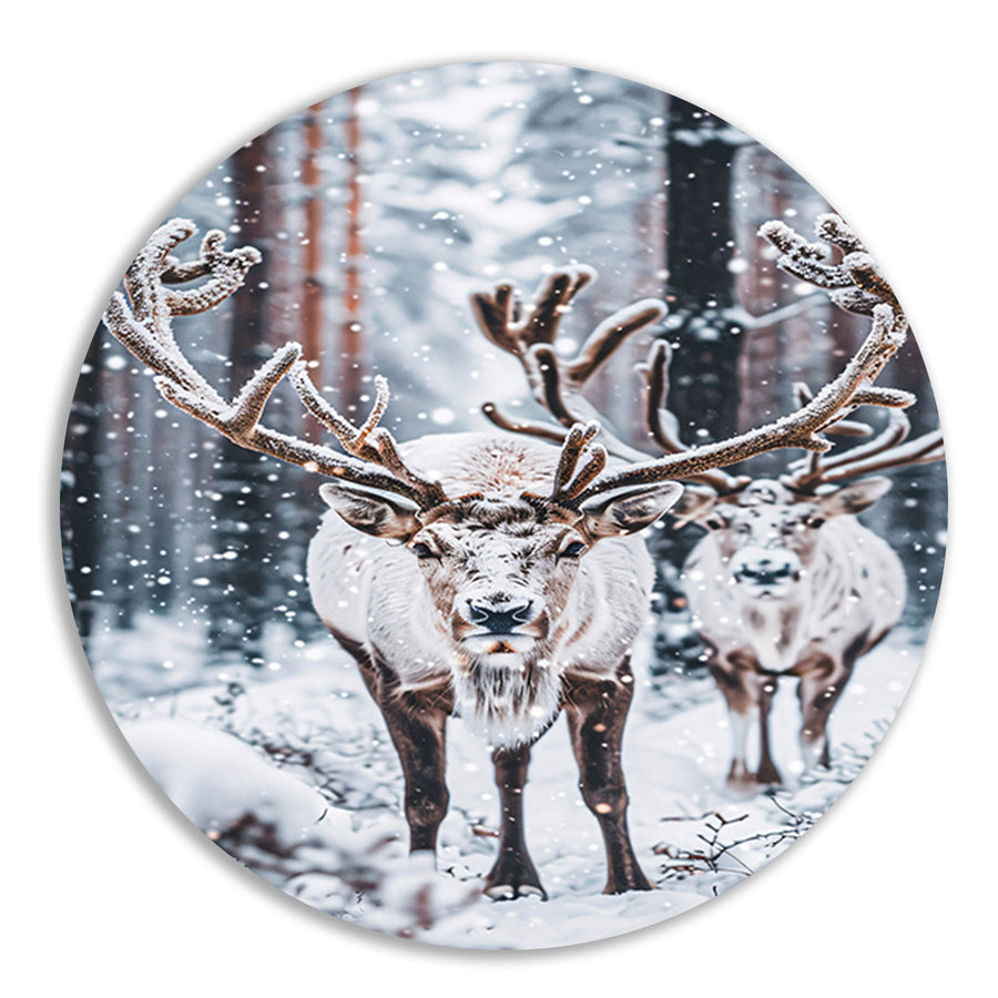 Twee Rendieren in Besneeuwd Bos forex muurcirkel