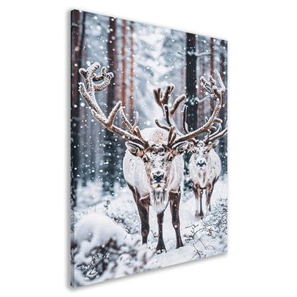 Twee Rendieren in Besneeuwd Bos canvas