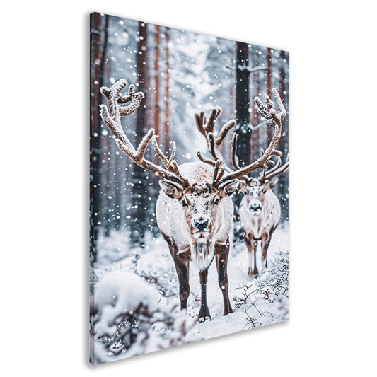Twee Rendieren in Besneeuwd Bos canvas