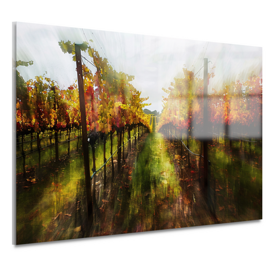 Herfstpalet in de wijngaard acrylglas