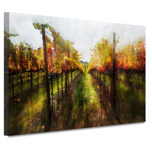 Herfstpalet in de wijngaard canvas