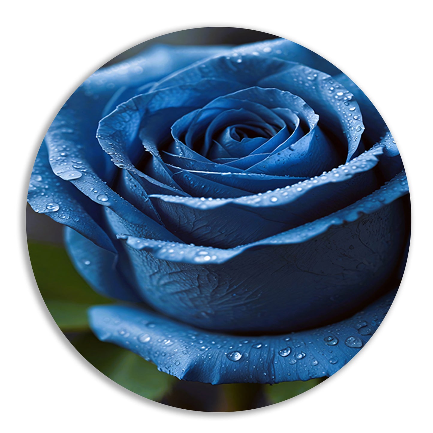 Blauwe roos bedauwd in ochtendlicht aluminium muurcirkel