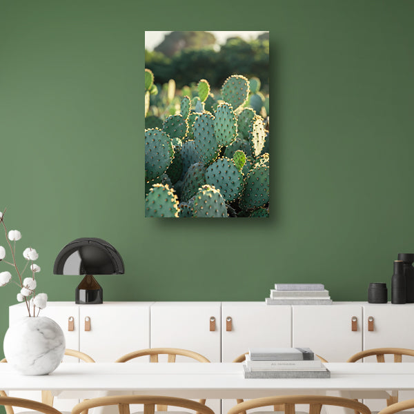 Close-up van cactus met stekels acrylglas