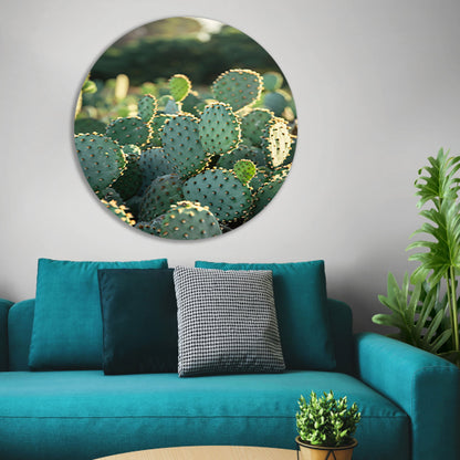 Close-up van cactus met stekels forex muurcirkel