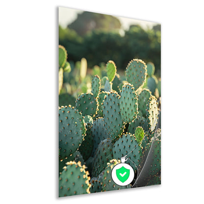 Close-up van cactus met stekels poster