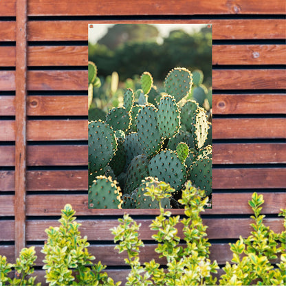 Close-up van cactus met stekels tuinposter
