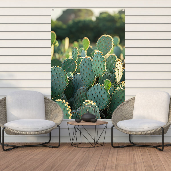 Close-up van cactus met stekels tuinposter