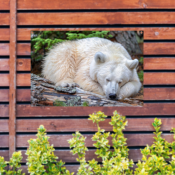 Slapende beer op boomstam in de natuur tuinposter