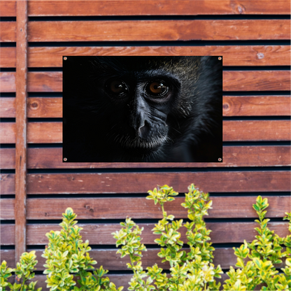 Doordringende Blik van een Aap in het Donker tuinposter