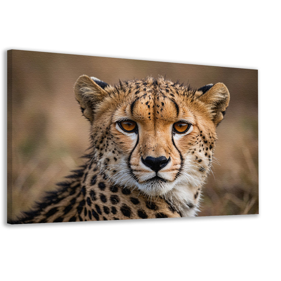 Prachtige close-up foto van een cheetah canvas