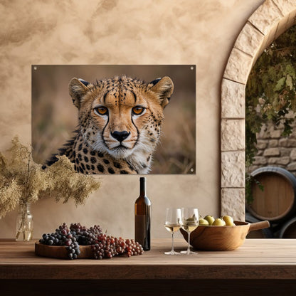Prachtige close-up foto van een cheetah tuinposter